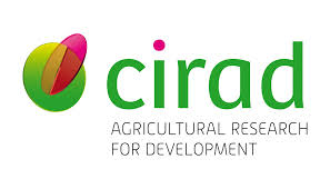Logo CIRAD
